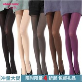 40D半透肉5D包芯丝 糖果色加档不透肉 袜 踩脚袜 120D天鹅绒连裤