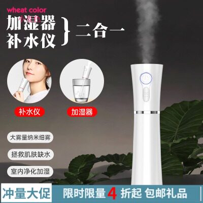 小蛮腰补水仪加湿器充电手持冷喷蒸脸喷雾器带充电宝皮肤测试喷雾