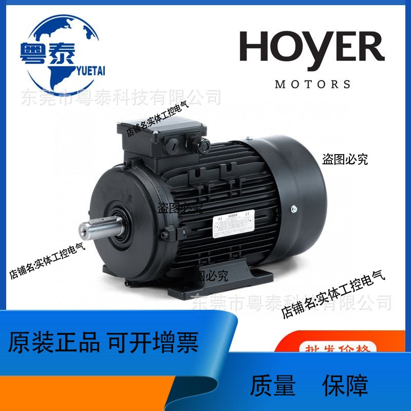 HOYER电机MS5624 7124 HMA2 8024 90L4 100L4 112M4 132M4 HMA3
