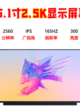 惠普暗影精灵7 8神舟TX7 荣耀MagicBook16笔记本屏幕NE161QHM-NY1