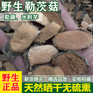 勒茨菇中药材水刺芋中草药勒藕水底刺广西野生切片天然晒干无硫熏