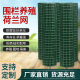 铁丝网围栏硬塑钢丝网养殖隔离防护网果园养鸡围墙围栏网栅栏户外