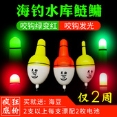 正品 智能感应海钓远投电子夜光阿波浮漂矶钓咬钩变色鲢鳙鱼漂滑漂