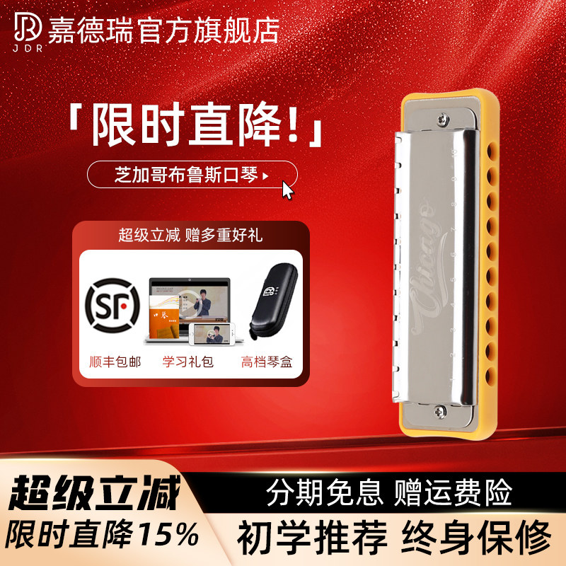 JDR嘉德瑞芝加哥chicago布鲁斯蓝调十孔口琴10孔C调初学者paddy