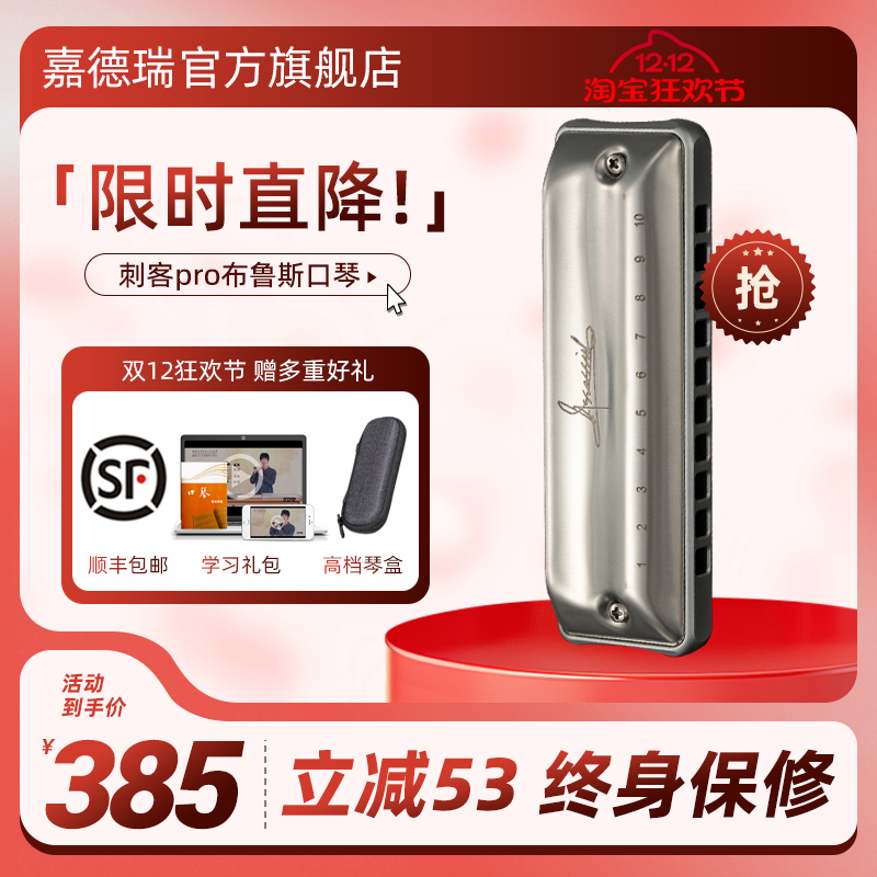 JDR嘉德瑞AssassinPro刺客布鲁斯蓝调十孔口琴10孔C专业演奏paddy