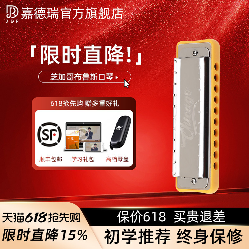 JDR嘉德瑞芝加哥chicago布鲁斯蓝调十孔口琴10孔C调初学者paddy