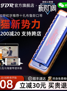 JDR嘉德瑞芝加哥chicago布鲁斯蓝调十孔口琴10孔C调初学者paddy