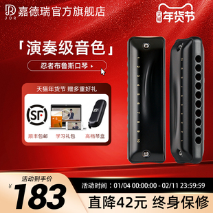 JDR嘉德瑞布鲁斯蓝调十孔口琴10孔C调忍者初学者入门专业paddy