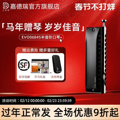 嘉德瑞0648S12孔专业半音阶口琴