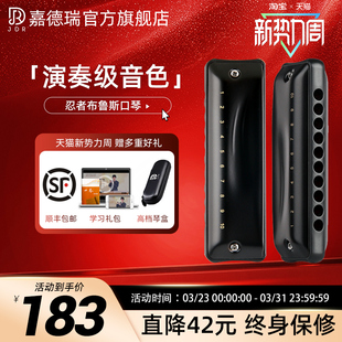 JDR嘉德瑞布鲁斯蓝调十孔口琴10孔C调忍者初学者入门专业paddy