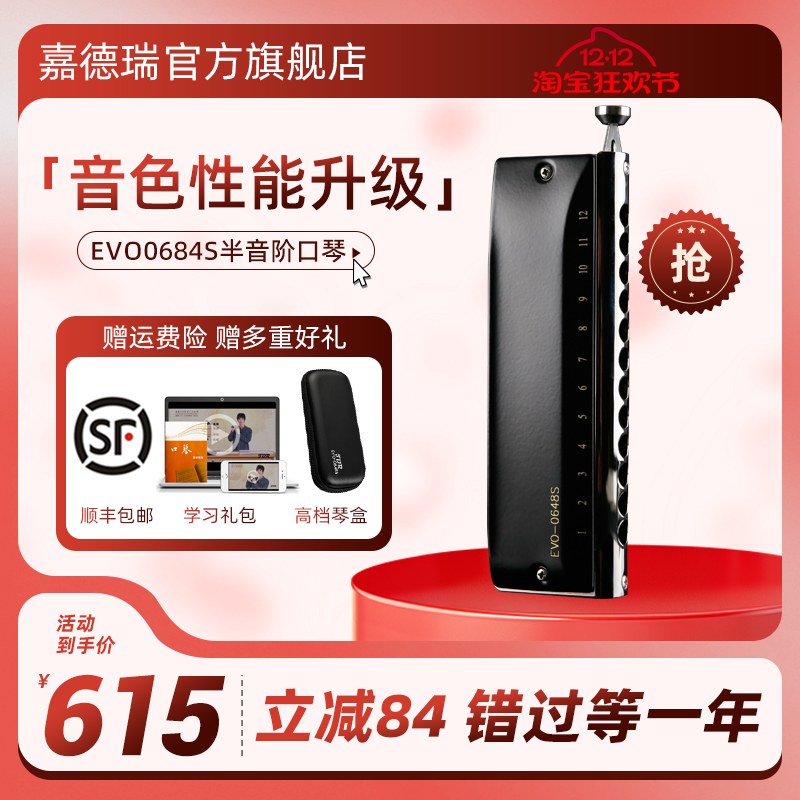 嘉德瑞0648S12孔专业半音阶口琴
