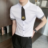 714-C630P40控59/2025短袖工作衬衫修身ktv酒吧制服衬衣空少寸衫，男装T恤，星座714(原C313)