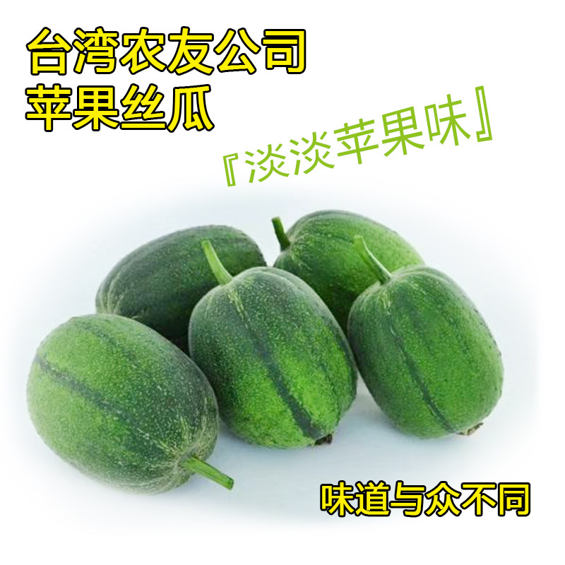 丝瓜种子台湾进口迷你小丝瓜苹果丝瓜籽蔬菜种子春播菜籽秋播种子