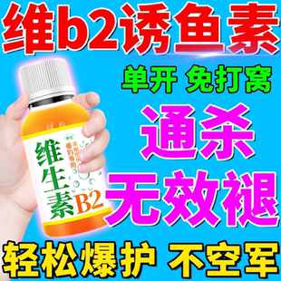 维生素B2氨基酸钓鱼小药水冬季 野钓黑坑鲫鲤青草鱼饵窝料低温开口