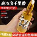 高浓缩千里香钓鱼小药秋冬季 野钓黑坑专用鲫鲤草鳊淡水鱼类添加剂