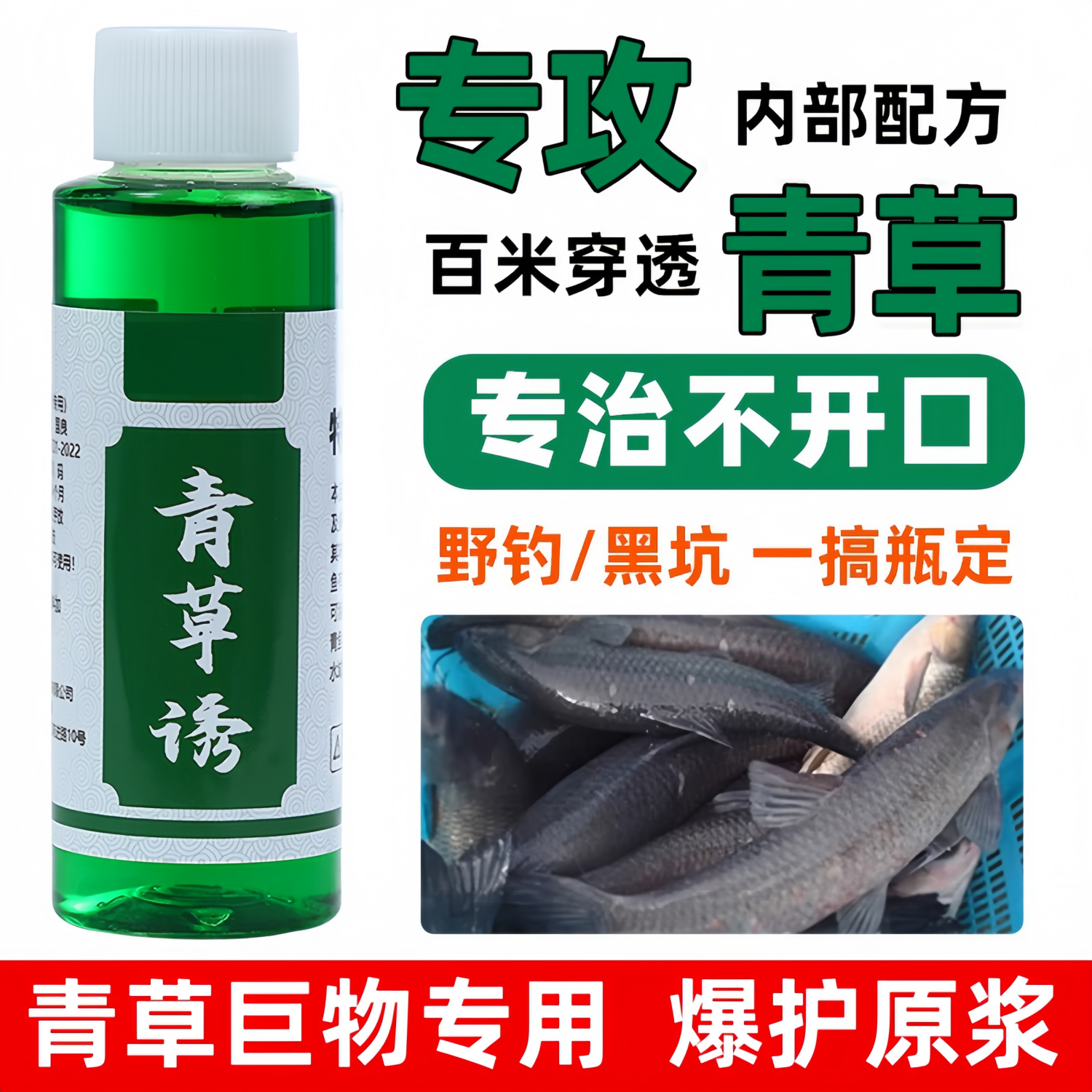 青草诱战青鱼草鱼克星钓鱼小药