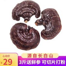 林岛 长白山灵芝 灵芝29元/斤包邮 买3斤送鲜参 可免费切片 打粉