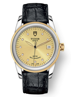 TUDOR帝舵骏珏系列皮带镶钻日历自动机械男表M55003-0051