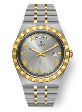 帝舵（TUDOR）瑞士手表皇家系列男士腕表41mm钢带银盘M28603-0001