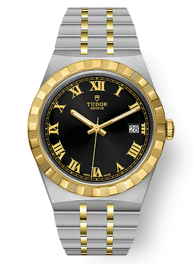 瑞士帝舵皇家系列黑盘商务钢带自动机械男表M28503-0006