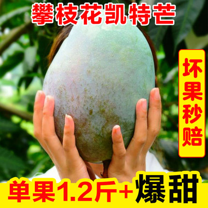 四川攀枝花凯特大芒果水果新鲜整箱10斤当季包邮应季甜青皮芒果5