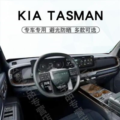 Tasman中控盘遮阳防晒垫子