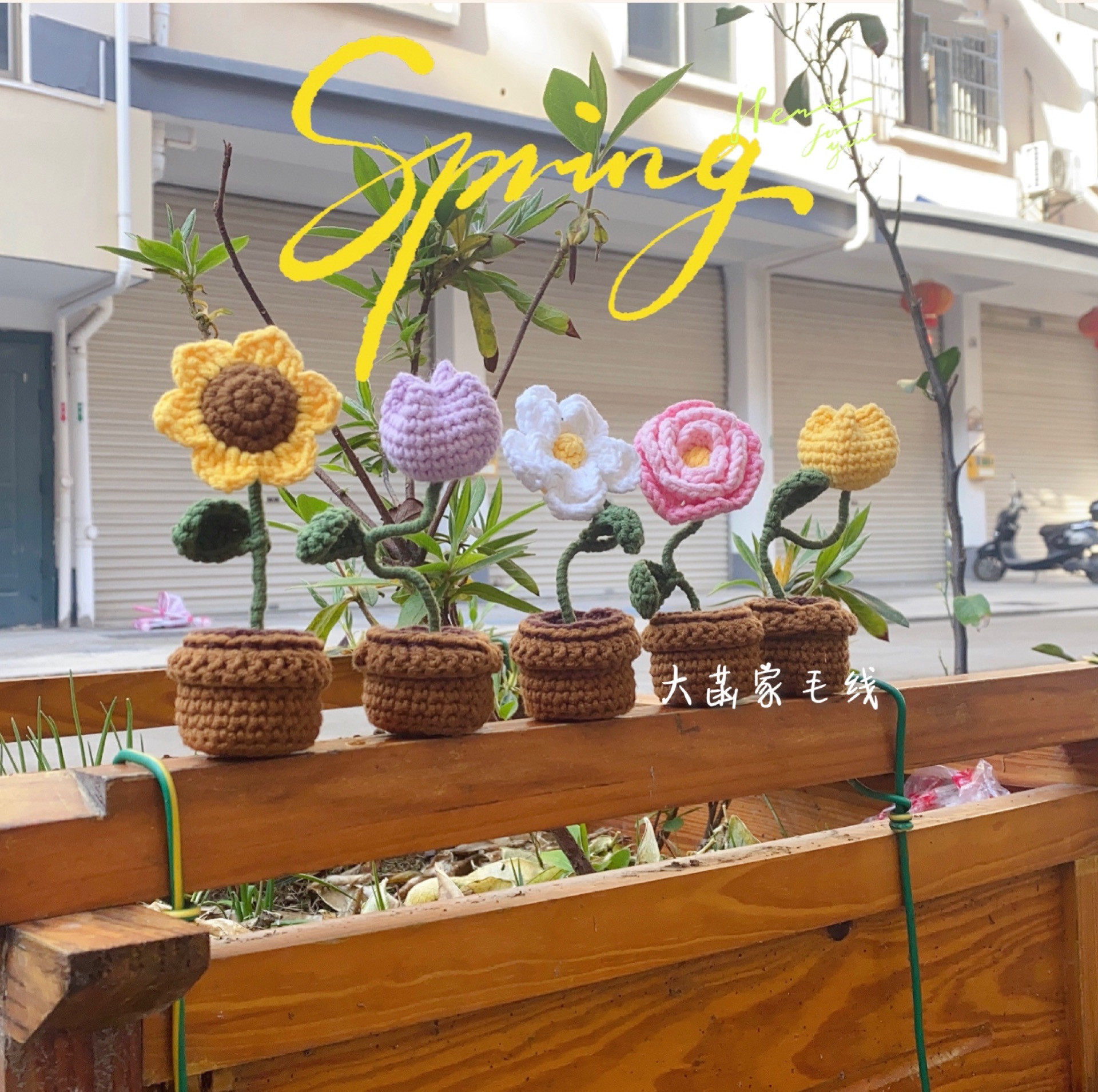 SMALL SWEET POTATO MINI POTTED SPRING FLOWERS OFFICE DESKTOP ORNAMENT TULIP SUNFLOWER HAND-WOVEN MATERIAL