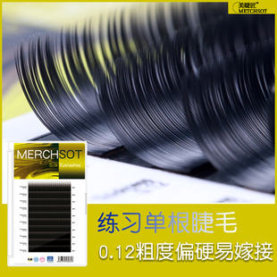 蚕丝嫁接种植睫毛0.12美睫学员新手练习混装单根圆毛自然逼真经典