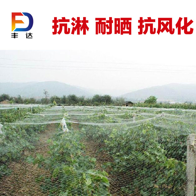 透明网 果园防鸟网 葡萄防鸟网 家禽网 养殖网 网 尼龙网 防护网|ruв категории доставка цветов/цветок моделирования/растения садоводства, садовых принадлежностей, других садовых принадлежностей - от Buy2taobao.com для оказания профессиональной услуги покупки агента Taobao