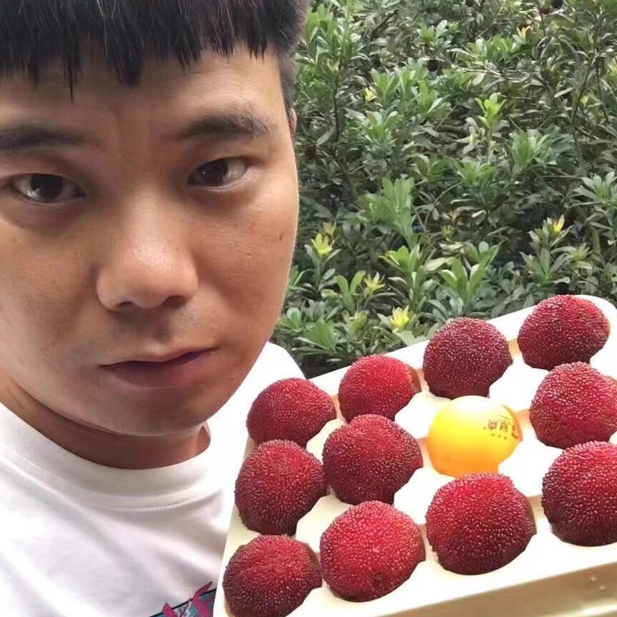 大于乒乓球仙居杨梅新鲜浙江东魁杨梅