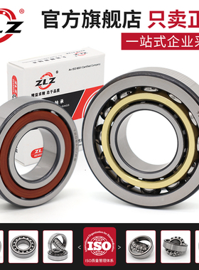 高速机床主轴轴承7303 7304 7305 7306 7307 7308 7309ACM