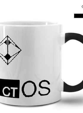看门狗CTOS程序布鲁姆公司DEDSEC组织watch dogs变色杯男孩马克杯
