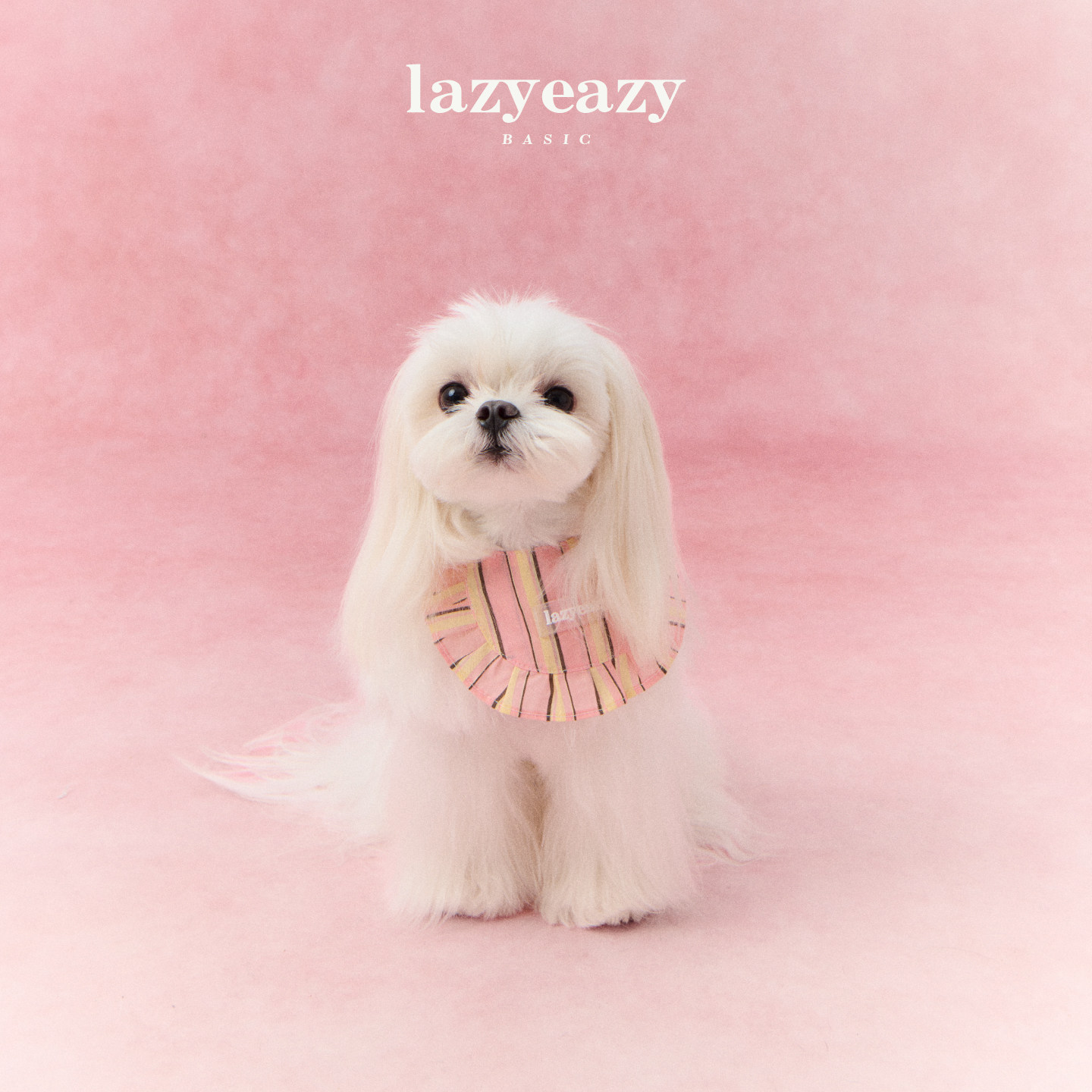 LazyEazy宠物狗狗条纹口水巾小型犬围嘴猫咪围兜条纹三角巾