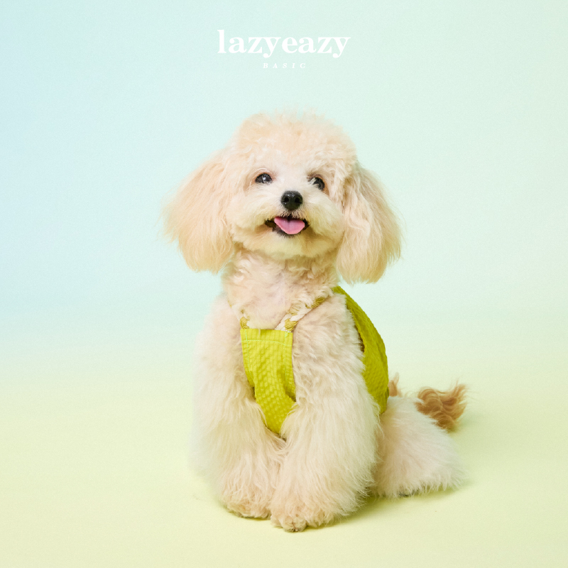 Lazyeazy宠物狗狗衣服编织格纹吊带夏季中小型犬柔软衣服俏皮可爱