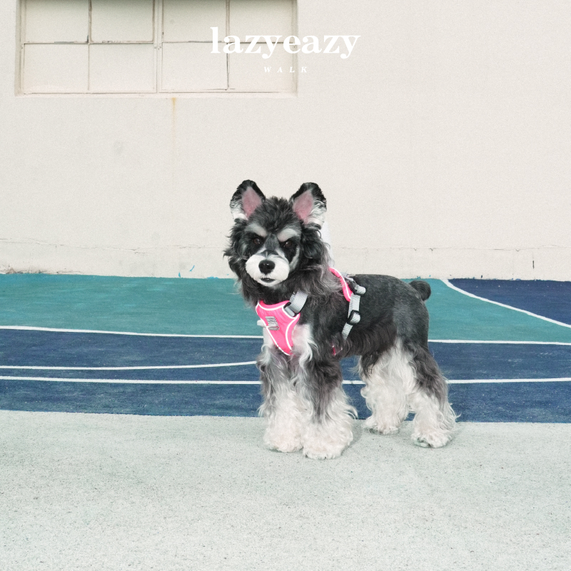 狗狗可调节胸背胸背lazyeazy