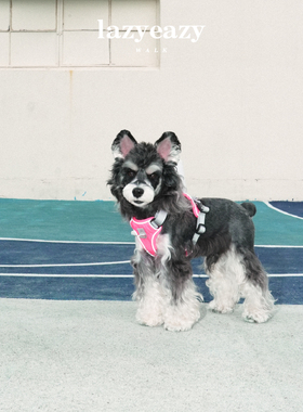 Lazyeazy宠物狗狗牵引胸背可调节背心式时尚外出中小型犬衣服