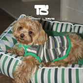 合作款 条纹撞色宠物窝 菱格条纹撞色舒适宠物窝 TAVN Lazyeazy