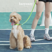 Lazyeazy宠物狗狗项圈牵引绳套装 雪纳瑞泰迪中小型犬防水可调节款