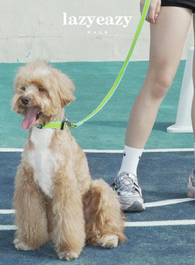 Lazyeazy宠物狗狗项圈牵引绳套装雪纳瑞泰迪中小型犬防水可调节款