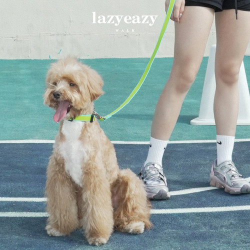 狗牵引绳项圈牵引绳lazyeazy