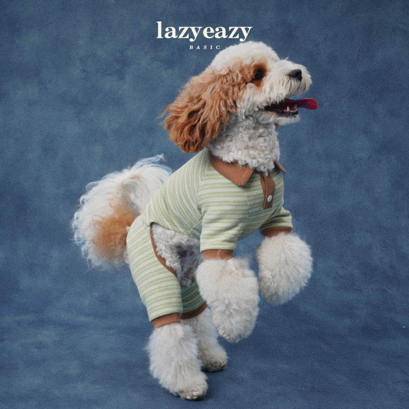 Lazyeazy宠物狗狗衣服撞色德绒polo翻领四脚衣秋季新款中小型犬