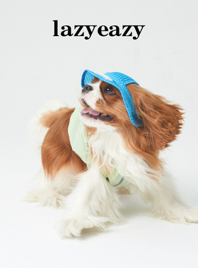 Lazyeazy宠物猫咪狗狗网格渔夫帽时尚可爱露耳德文泰迪约克夏帽子