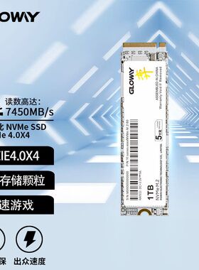 Gloway光威512GB 1T 2T SSD固态硬盘 M.2接口 NVMe PCIe4.0弈系列