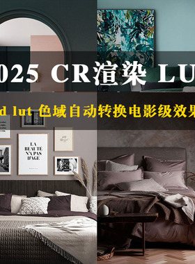 2025Corona渲染器LUT滤镜效果CR渲杂器LUT电影级效果AGXfor3DMAX