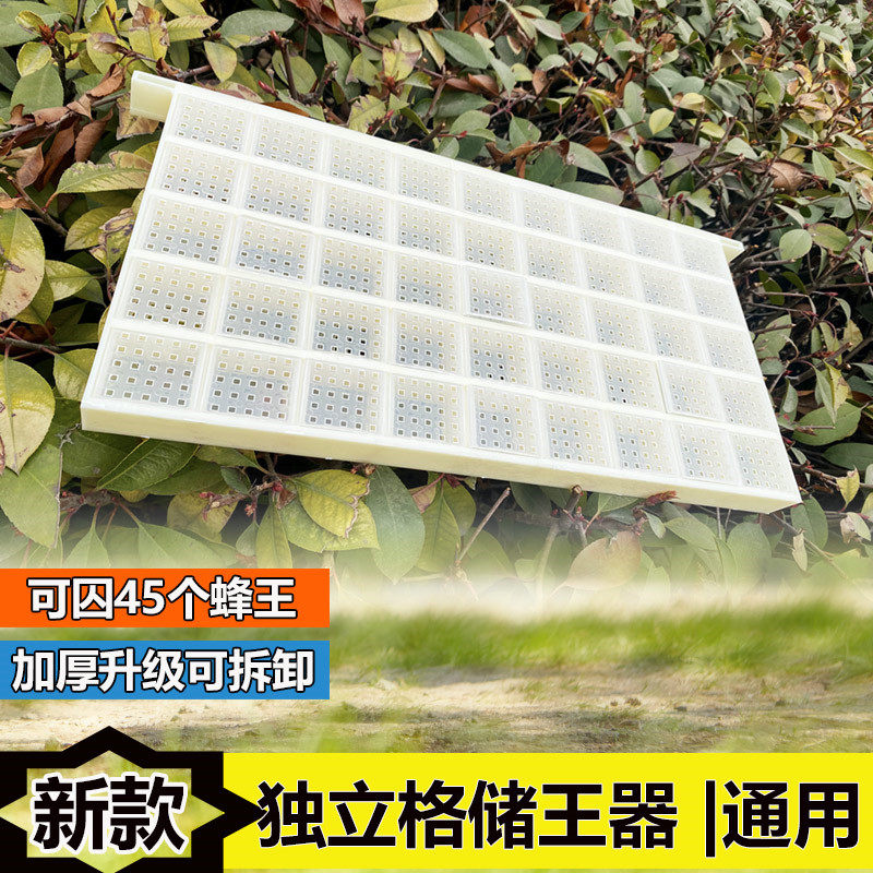新型多功能储王器 邮寄王笼蜂王储存盒囚王笼独立格45个装蜂具