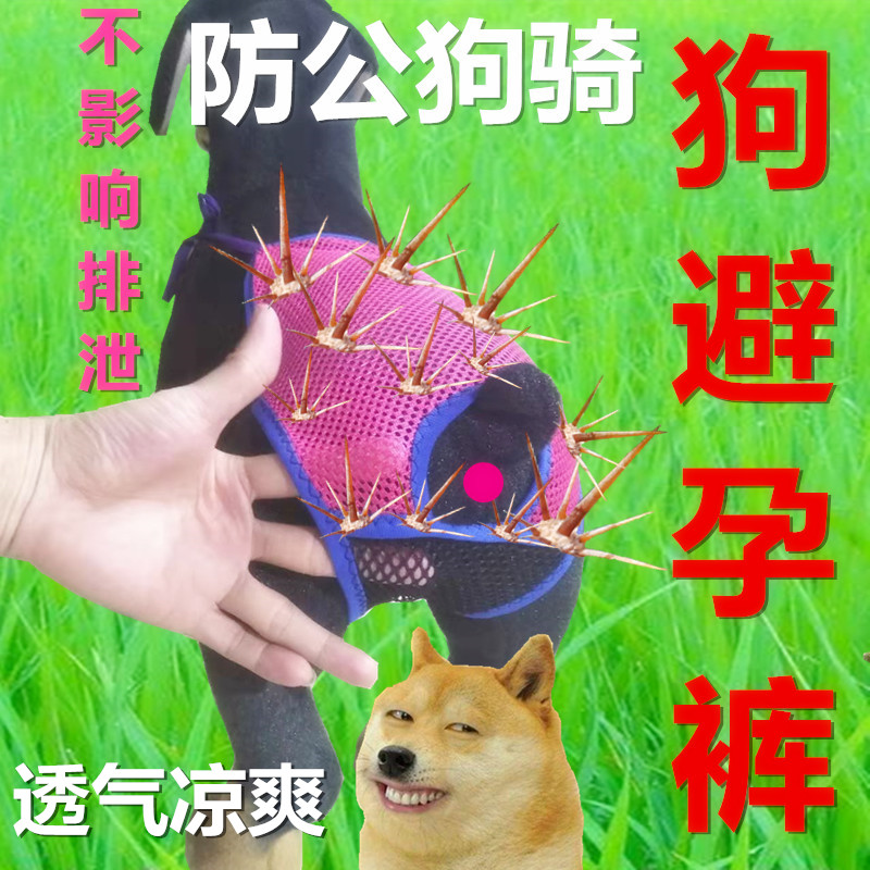 狗狗生理裤母狗宠物狗卫生裤防骚扰避孕月经裤凉爽透气不影响排泄