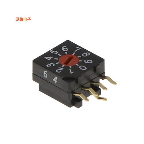 DRR 3110 -[全新SWITCH ROTARY BCD INVERSE]
