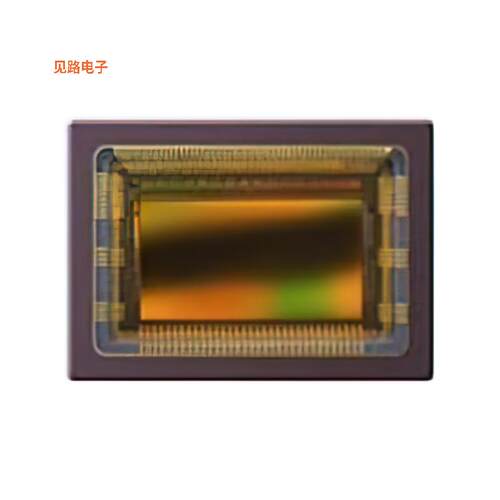 CMV2000-3E5C1CA -[全新IMAGE SENSORS & COLOR SENSORS