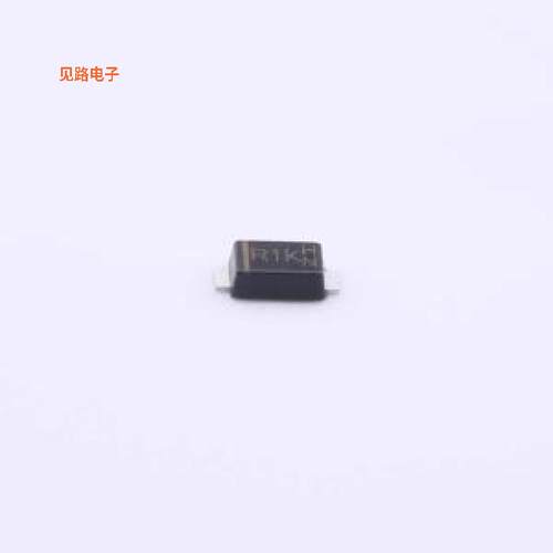 RS1008FL_R1_00001 -[原装SOD-123FL]