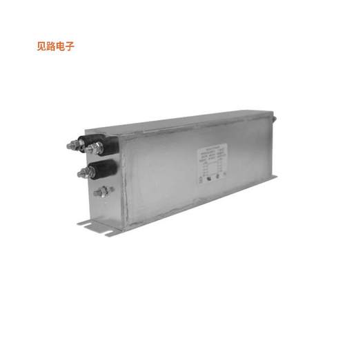 RP328-42-2000-S -[全新LINE FILTER 480VAC 42A CHASS MNT]